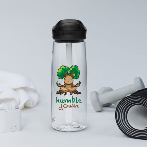 Sports water bottle